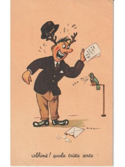 CARTOLINA UMORISTICA /...