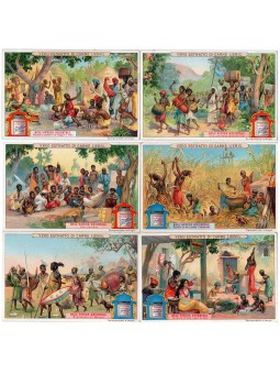 S 0877 / LIEBIG / NELL...