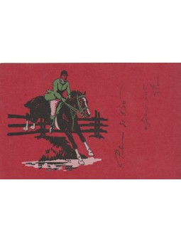 CARTOLINA CAVALLI IPPICA...