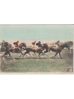 CARTOLINA CAVALLI IPPICA...