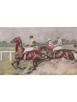 CARTOLINA CAVALLI IPPICA...