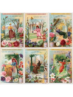 S 0689 / LIEBIG / IL CORSO...