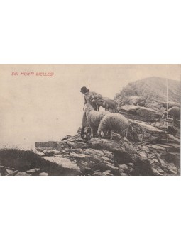 CARTOLINA - PIEMONTE - SUI...