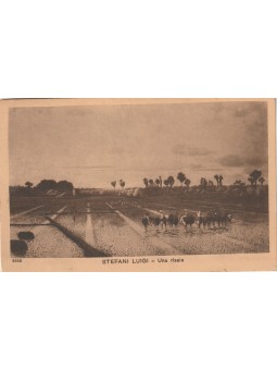 PIEMONTE NOVARA LIVORNO...