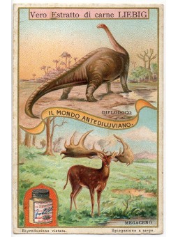 S 1123 / LIEBIG / IL MONDO...