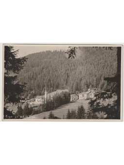 CARTOLINA TRENTINO BOLZANO...