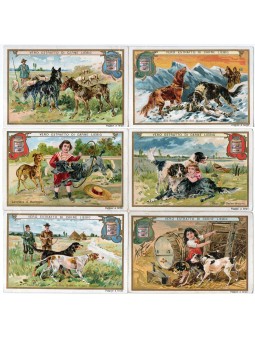 S 0615 / LIEBIG / CANI 1...