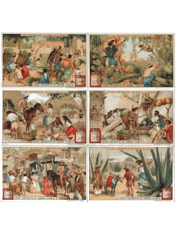 S 0940 / LIEBIG / AL...