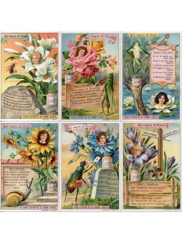 S 1020 / LIEBIG / NEL REGNO...