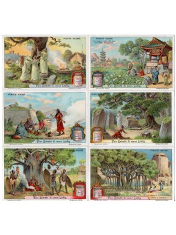 S 1028 / LIEBIG / PIANTE...