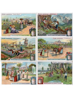 S 1019 / LIEBIG / FIORI...