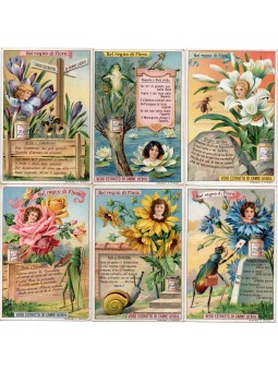 S 1020 / LIEBIG / NEL REGNO...