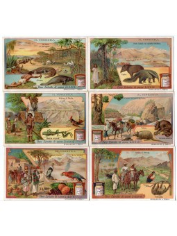 S 0916 / LIEBIG / AL...