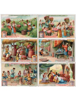 S 0924 / LIEBIG / LA...