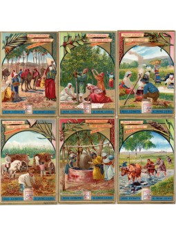 S 0566 / LIEBIG / PIANTE...