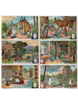 S 1036 / LIEBIG / ANIMALI...