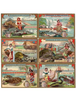 S 0779 / LIEBIG /...