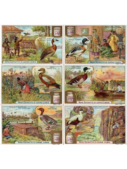 S 0803 / LIEBIG / LE ANITRE...