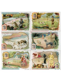 S 0805 / LIEBIG / I CANI 2...