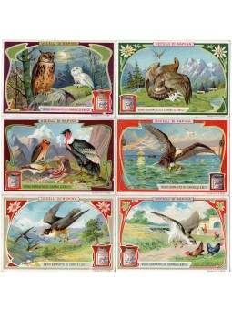 S 0872 / LIEBIG / UCCELLI...