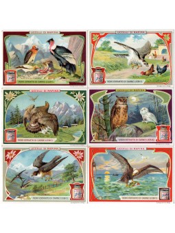 S 0872 / LIEBIG / UCCELLI...