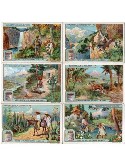 S 0930 / LIEBIG / LA FLORA...