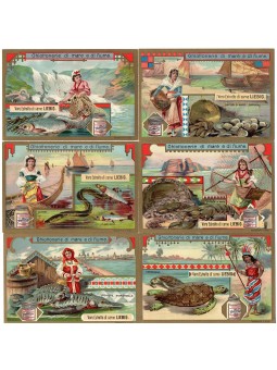 S 0779 / LIEBIG /...