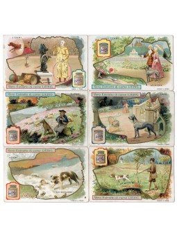 S 0805 / LIEBIG / I CANI 2...