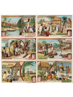 S 0937 / LIEBIG /...