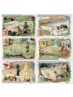 S 0805 / LIEBIG / I CANI 2...