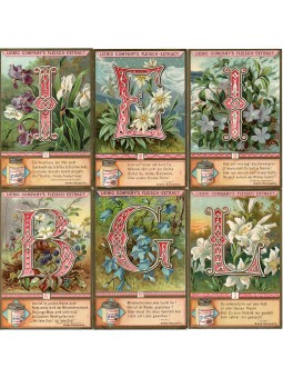 S 0526 / LIEBIG CON...