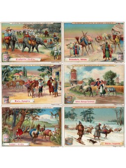 S 0602 / LIEBIG /...