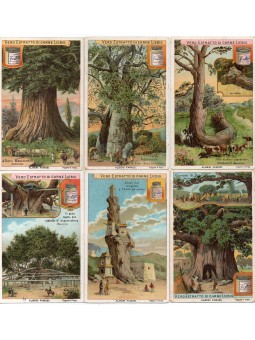 S 0690 / LIEBIG / ALBERI...