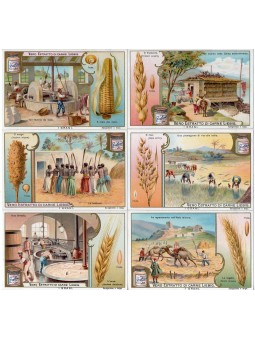 S 0781 / LIEBIG / I GRANI...