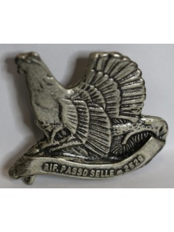 SPILLA RIFUGIO PASSO SELLE...