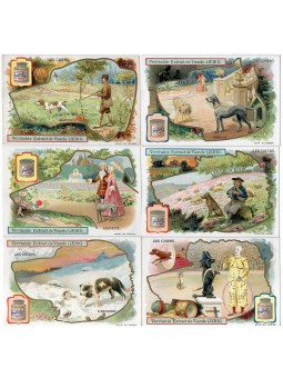 S 0805 / LIEBIG / I CANI 2...