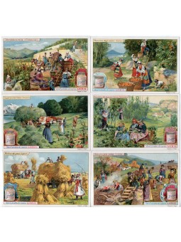 S 0944 / LIEBIG / RACCOLTI...