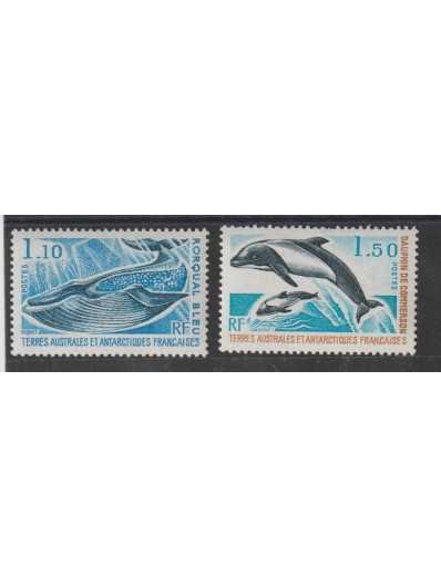 1977 TAAF ANTARTICO...