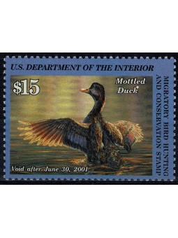 2000 STATI UNITI USA...