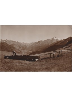 CARTOLINA ANNI '30...