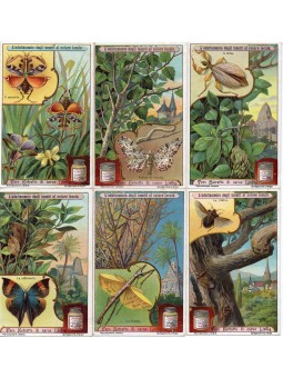 S 1065 / LIEBIG /...