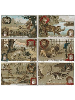 S 1072 / LIEBIG / I FELINI...