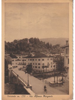 CARTOLINA FRIULI VENEZIA...