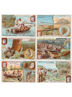 S 0716 / LIEBIG / I TESORI...