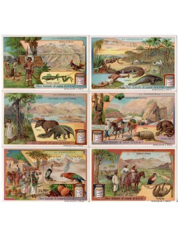 S 0916 / LIEBIG / AL...