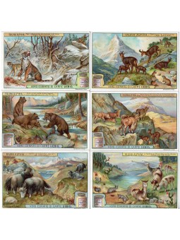 S 0958 / LIEBIG / FAUNA...