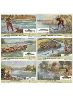 S 1623 / LIEBIG / PESCA D...