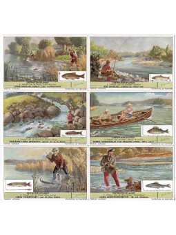 S 1623 / LIEBIG / PESCA D...