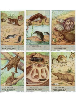 S 1645 / LIEBIG / GLI...