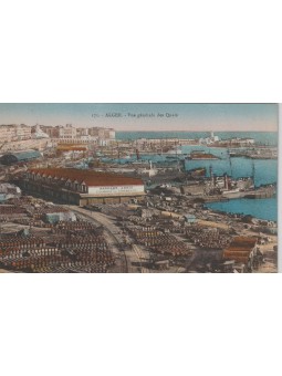 CARTOLINA ALGERI ALGERIA...